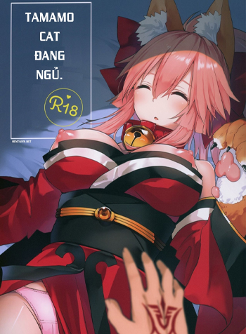 Tamamo Cat Đang Ngủ-thumb Smanga